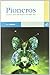 Pioneros: Cuentos norteamericanos del siglo XIX