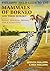 Phillipps' Field Guide to the Mammals of Borneo and Their Ecology: Sabah, Sarawak, Brunei, and Kalimantan (Princeton Field Guides)