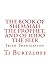 The Book of Shemaiah The Prophet, and of Iddo The Seer: Irish Translation (Irish Edition)
