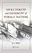 Surface Chemistry and Geochemistry of Hydraulic Fracturing