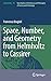 Space, Number, and Geometry from Helmholtz to Cassirer (Archimedes, 46)