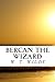Bercan The Wizard: Wizards, Mages, Vampires, and Seers, Oh My
