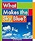 What Makes the Sky Blue? (Everyday Earth Science)