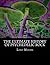 The Ultimate History of Psychedelic Rock