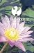 Think About It Volume IX: A...