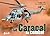 Le Caracal: Helicoptere Au ...