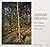Simone Nieweg: Woods, Trees, and Light