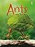 Beginners Ants
