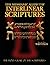 Messianic Aleph Tav Interlinear Scriptures Volume Two the Writings, Paleo and Modern Hebrew-Phonetic Translation-English, Red Letter Edition Study Bible