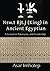 Nsw.t Bjt.j (King) In Ancient Egyptian by Asar Imhotep