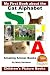 My First Book about the Cat Alphabet - Amazing Animal Books - Children's Picture Books
