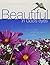 Beautiful in God's Eyes: He...