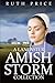 A Lancaster Amish Storm Collection (Amish Identity)