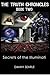 The Truth Chronicles Book II: Secrets Of The Illuminati