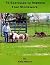 76 Exercises to Improve Your Stockwork