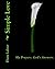 Simple Love: My Prayers. God's Answers. (Simple Series)