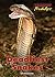 Deadliest Snakes (Deadliest Predators)