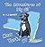 The Adventures of Big Sil New York, NY: Children's Book