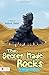 The Secret Magic Rocks