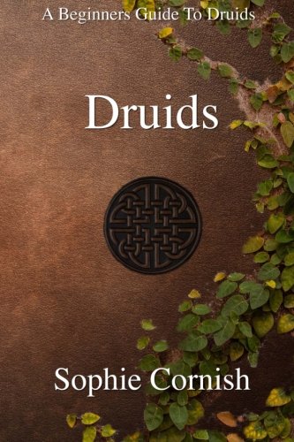 Druids: A Beginners Guide To Druids (Paperback)