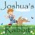 Joshua's Rabbit