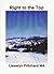 Right To The Top (Port Hope Simpson Misterios nº 7) (Spanish Edition)