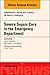 Severe Sepsis Care in the Emergency Department, an Issue of Emergency Medicine Clinics of North America