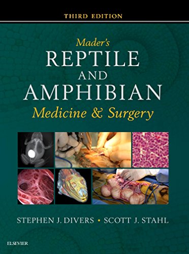 Mader's Reptile and Amphibian Medicine and Surgery (ebook)