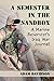 A Semester in the Sandbox by Adam Davidson