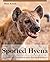 The Spotted Hyena: A Study of Predation and Social Behavior