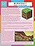 Mine Craft Speedy Study Guide (Speedy Study Guide)