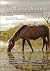 The Wild Horse Dilemma: Conflicts and Controversies of the Atlantic Coast Herds