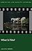What Is Film? (American University Studies)