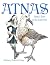 Atnas: Santa's Sister In the South Pole