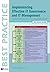 Implementing Effective It G...