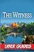 The Witness: Guide & Game W...