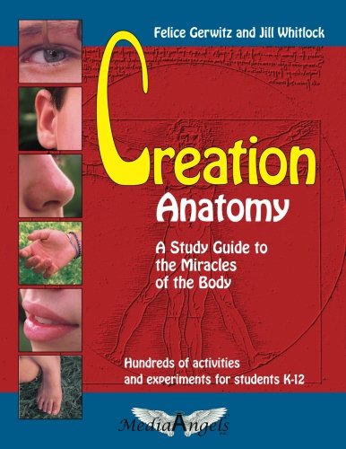 Creation Anatomy: A Study Guide to the Miracles of the Body (Paperback)