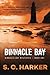 Binnacle Bay: Binnacle Bay Mysteries, Book 1 (The Binnacle Bay Mysteries)