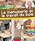 La menuiserie et le travail du bois - J'entretiens, je répare... by Robert Longechal