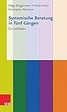 Systemische Berat...