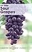 Sour Grapes: Studies in the Subversion of Rationality (Cambridge Philosophy Classics)