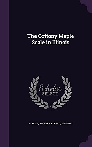 The Cottony Maple Scale in Illinois (Hardcover)