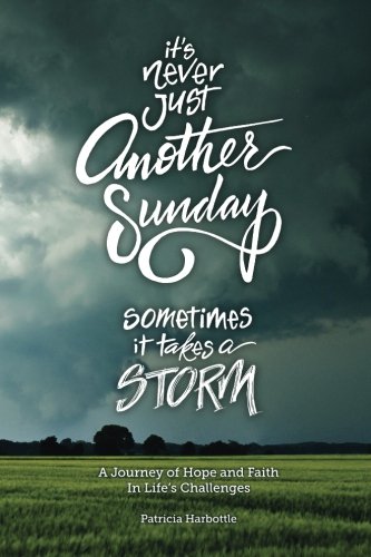 It's Never Just Another Sunday: Sometimes It Takes a Storm (Paperback)