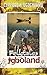 Folktales From Igboland