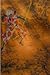 Terra Ocean The legend begins Vol 1 by Reed Riku