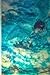 Terra Ocean The legend begins Vol 3 (Tales of Terra Ocean) by Reed Riku
