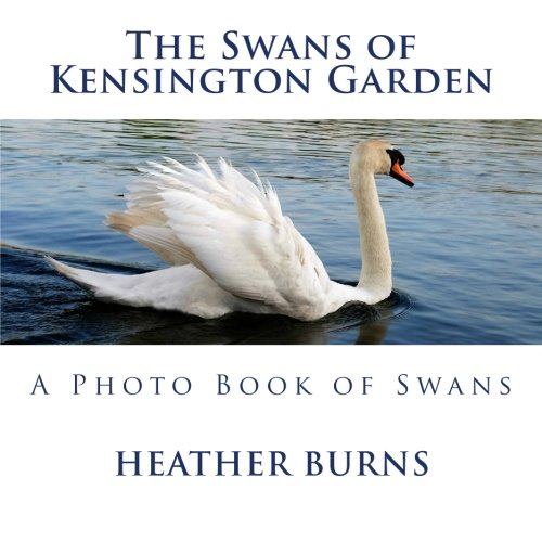 The Swans of Kensington Garden: A Photo Book of Swans (Paperback)