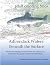 Adirondack Waters: Beneath ...