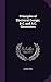 Principles of Electrical Design; D.C. and A.C. Generators