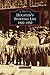 Houston's Sporting Life by Mike Vance